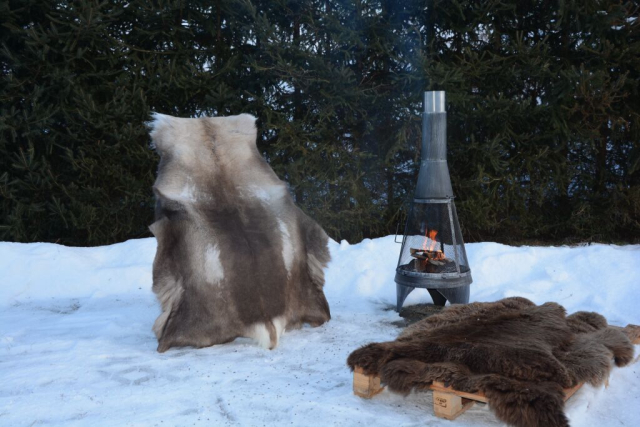 Rentierfell Great Wild Lion XXXL